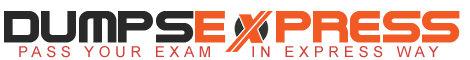 DumpsExpress Logo